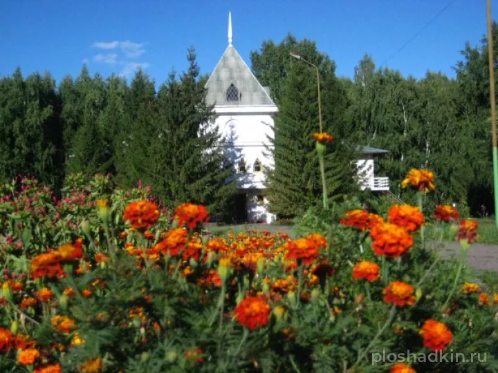База отдыха «Родничок» — загородная площадка в Омске, фото 6