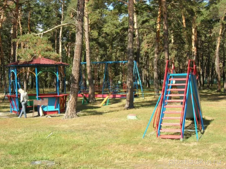 Стрельникова — загородная площадка в Омске