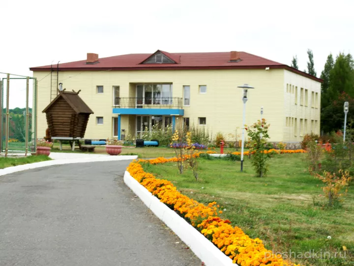 Стрельникова — загородная площадка в Омске, фото 2