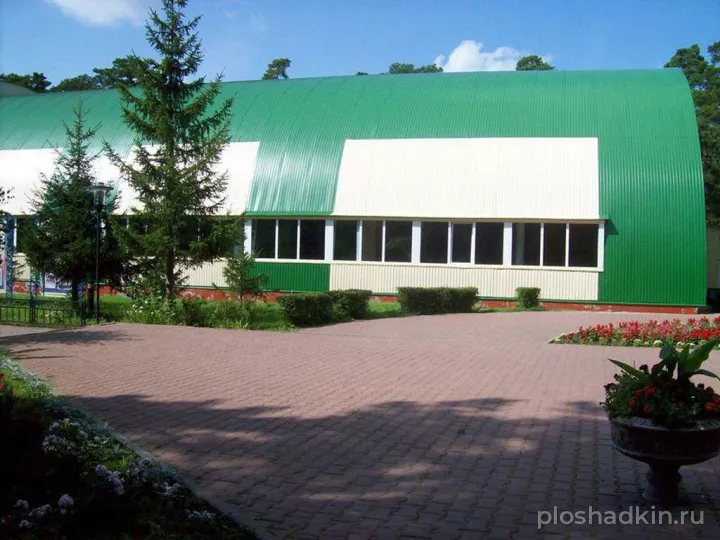 Стрельникова — загородная площадка в Омске, фото 3