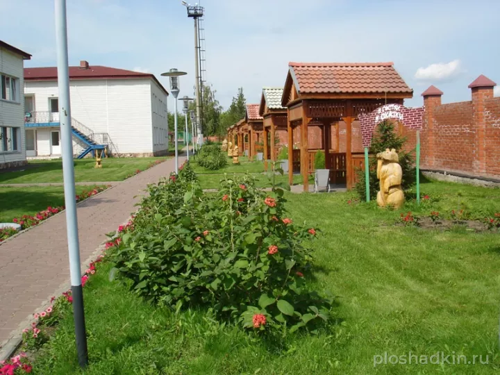 Стрельникова — загородная площадка в Омске, фото 6