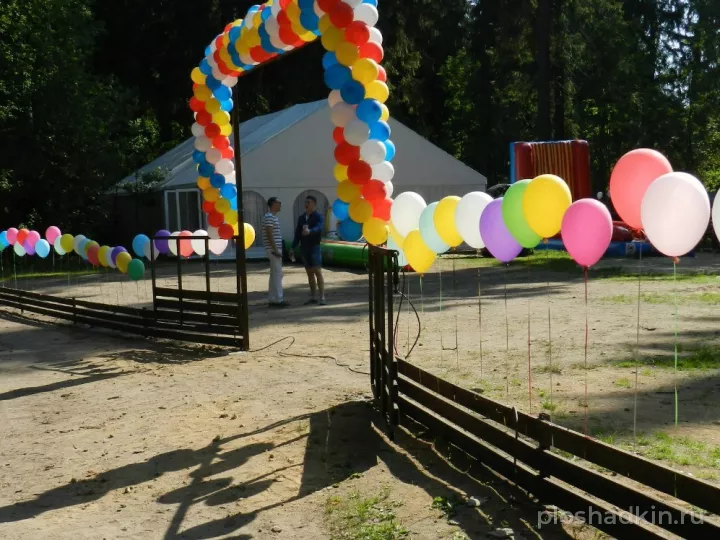 Forest Camp — загородная площадка в Санкт-Петербурге