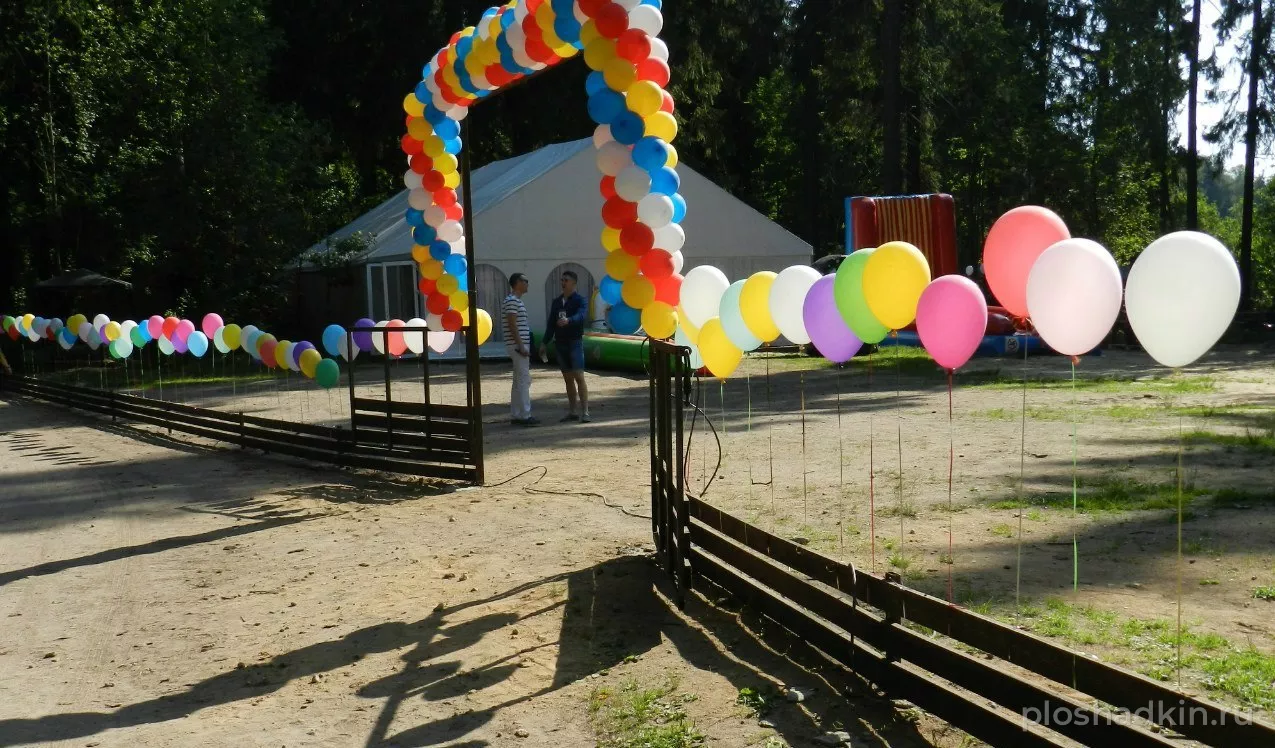 Forest Camp — загородная площадка в Санкт-Петербурге