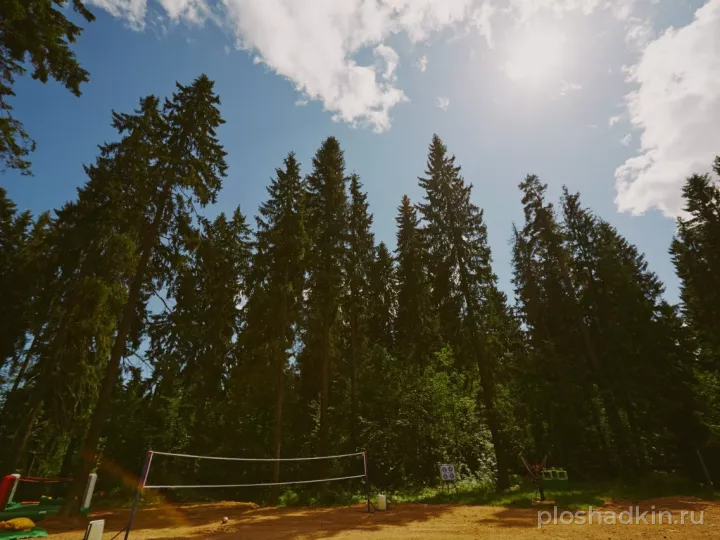 Forest Camp — загородная площадка в Санкт-Петербурге, фото 2