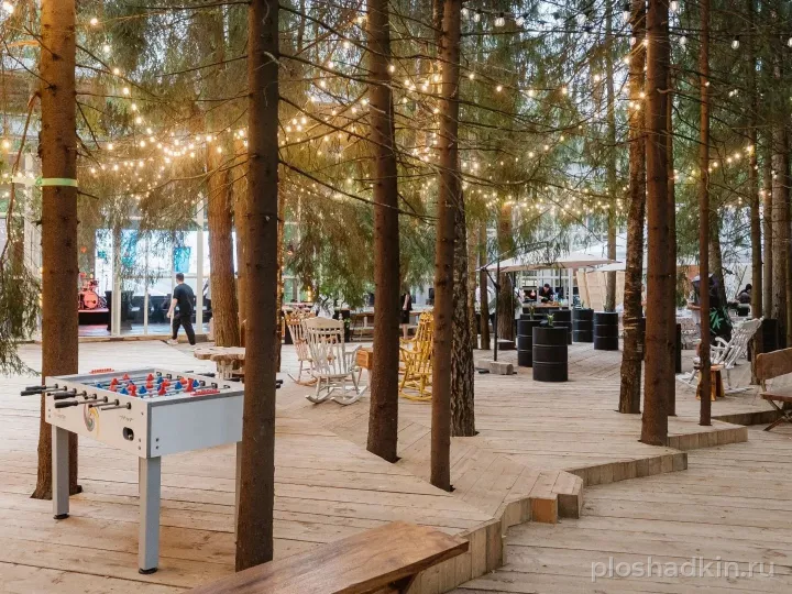 LOFT HALL THE BIRCH — Mahogany Terrace — загородная площадка в Москве, фото 7