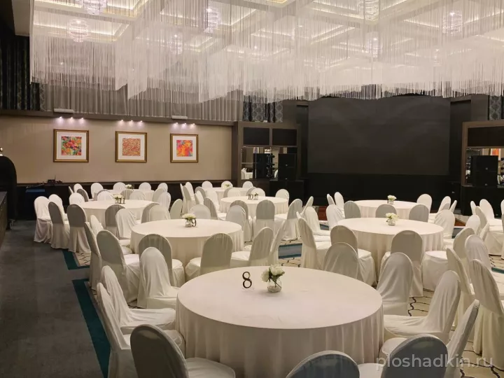 DoubleTree by Hilton — Diamond Ballroom — банкетный зал в Тюмени, фото 4