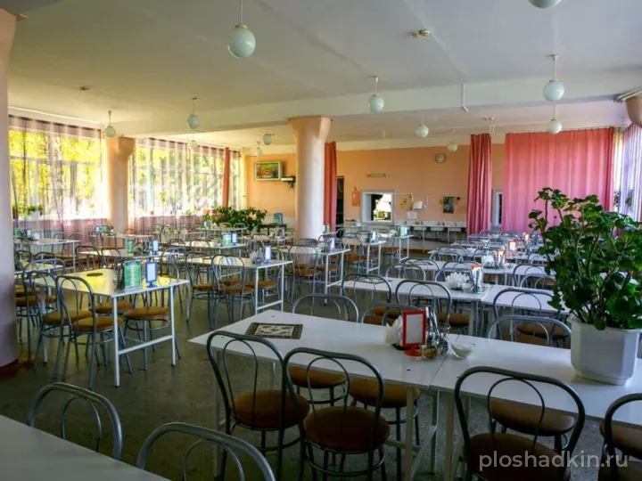 База отдыха им. А. И. Покрышкина — загородная площадка в Омске, фото 6