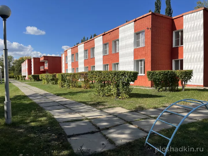 База отдыха «Дружные ребята» — загородная площадка в Омске, фото 3