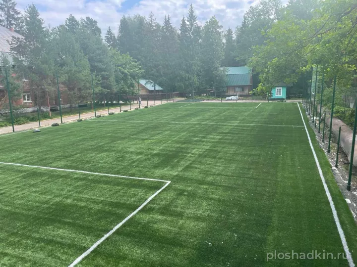 Парк-отель «Покровское» — спортивная площадка в Москве, фото 7