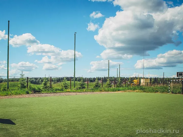 Dmitrov Golf Resort — спортивная площадка в Москве, фото 5