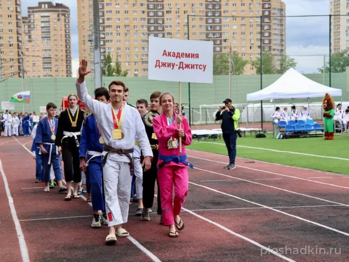 ФСК «Салют» — спортивная площадка в Москве, фото 4