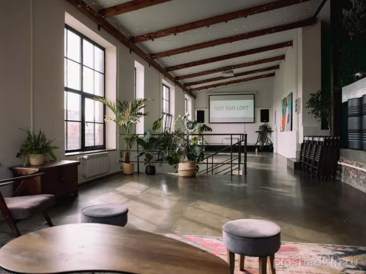 Not Bad Loft — Курляндская — лофт в Санкт-Петербурге, фото 5