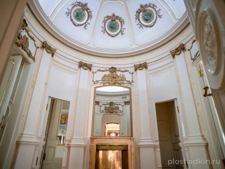 Особняк Трубецких Нарышкиных & AGGROUP — лофт в Санкт-Петербурге, фото 4