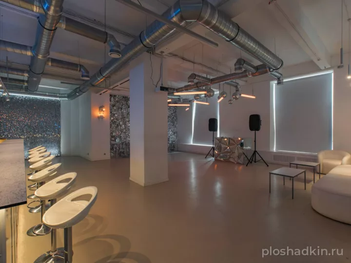 Rubin Loft — Вайт — лофт в Санкт-Петербурге, фото 5