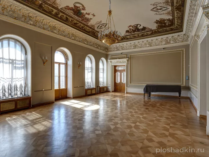 Особняк Сухозанета — конференц-зал в Санкт-Петербурге, фото 5