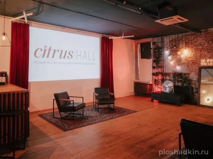 Citrus Hall — Лофт Grapefruit — лофт в Москве, фото 5