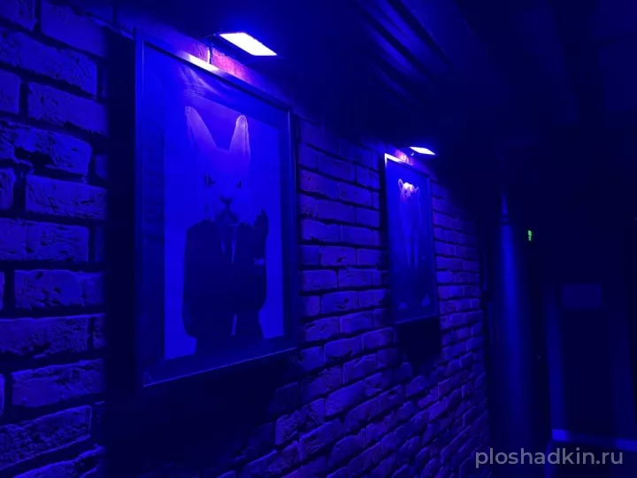 Сеть лофтов Изнанка — Лофт Кастл — лофт в Москве, фото 4