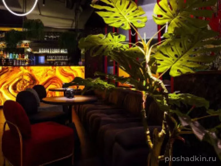 Blooming Loft — Лофт Cactus J. — лофт в Москве, фото 7