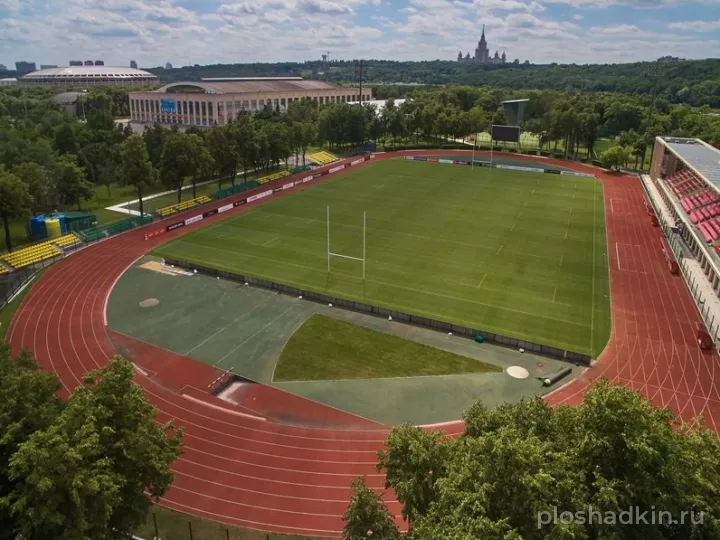Спорткомплекс «Лужники» — спортивная площадка в Москве