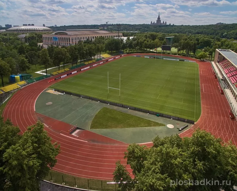 Спорткомплекс «Лужники» — спортивная площадка в Москве