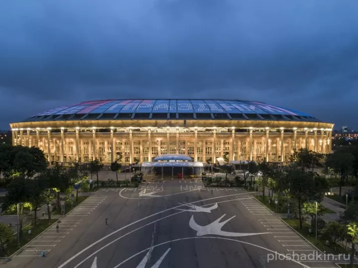 Спорткомплекс «Лужники» — спортивная площадка в Москве, фото 7