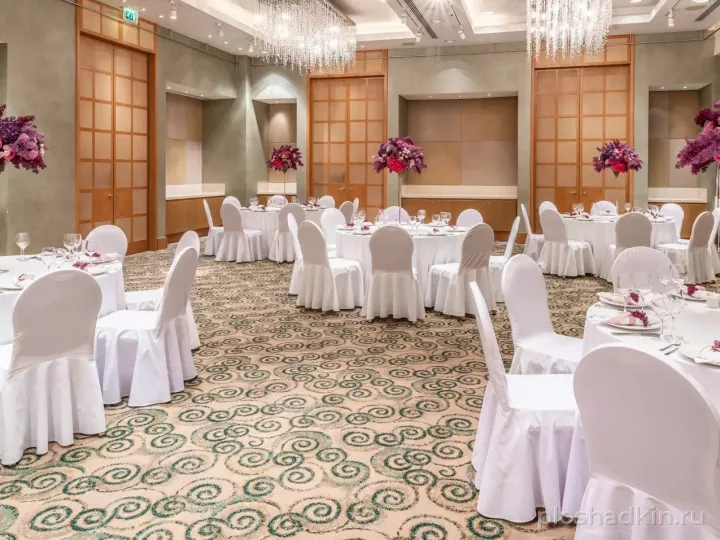 Swissôtel Красные Холмы Москва — Зал «Цюрих» — зал в отеле в Москве, фото 4