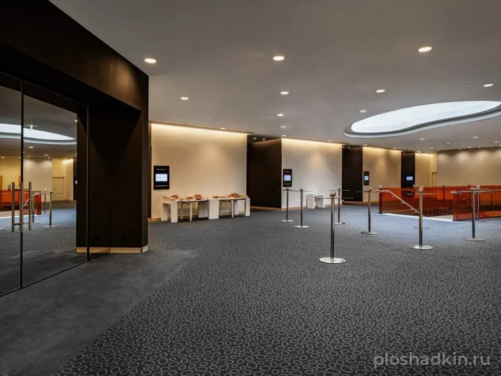Airportcity Plaza — Зал «Александровский» — зал в отеле в Санкт-Петербурге, фото 7