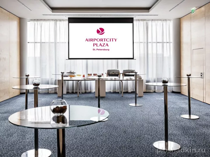 Airportcity Plaza — Зал «Екатерининский» — зал в отеле в Санкт-Петербурге, фото 7
