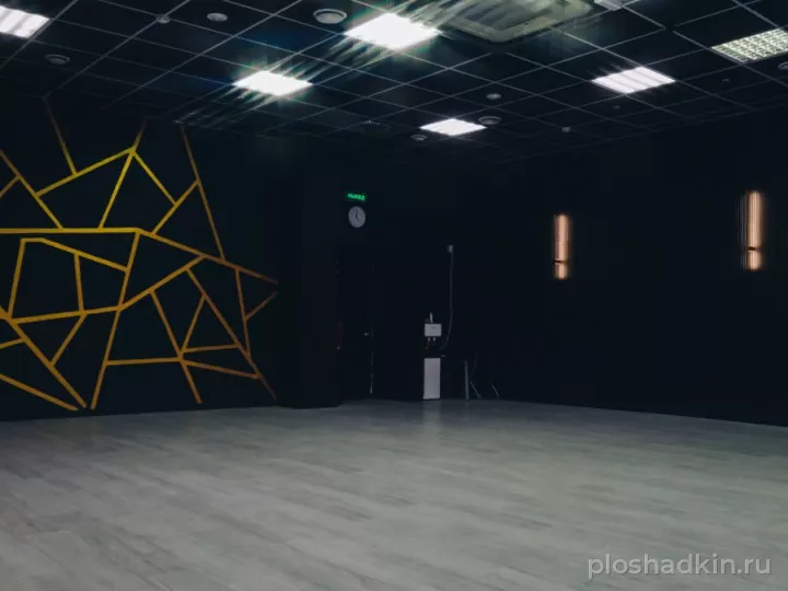 VIVA DANCE — BLACK GOLD — зал в Москве, фото 6